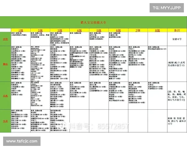 魔兽世界技能排序攻略指南 魔兽世界技能排序攻略指南